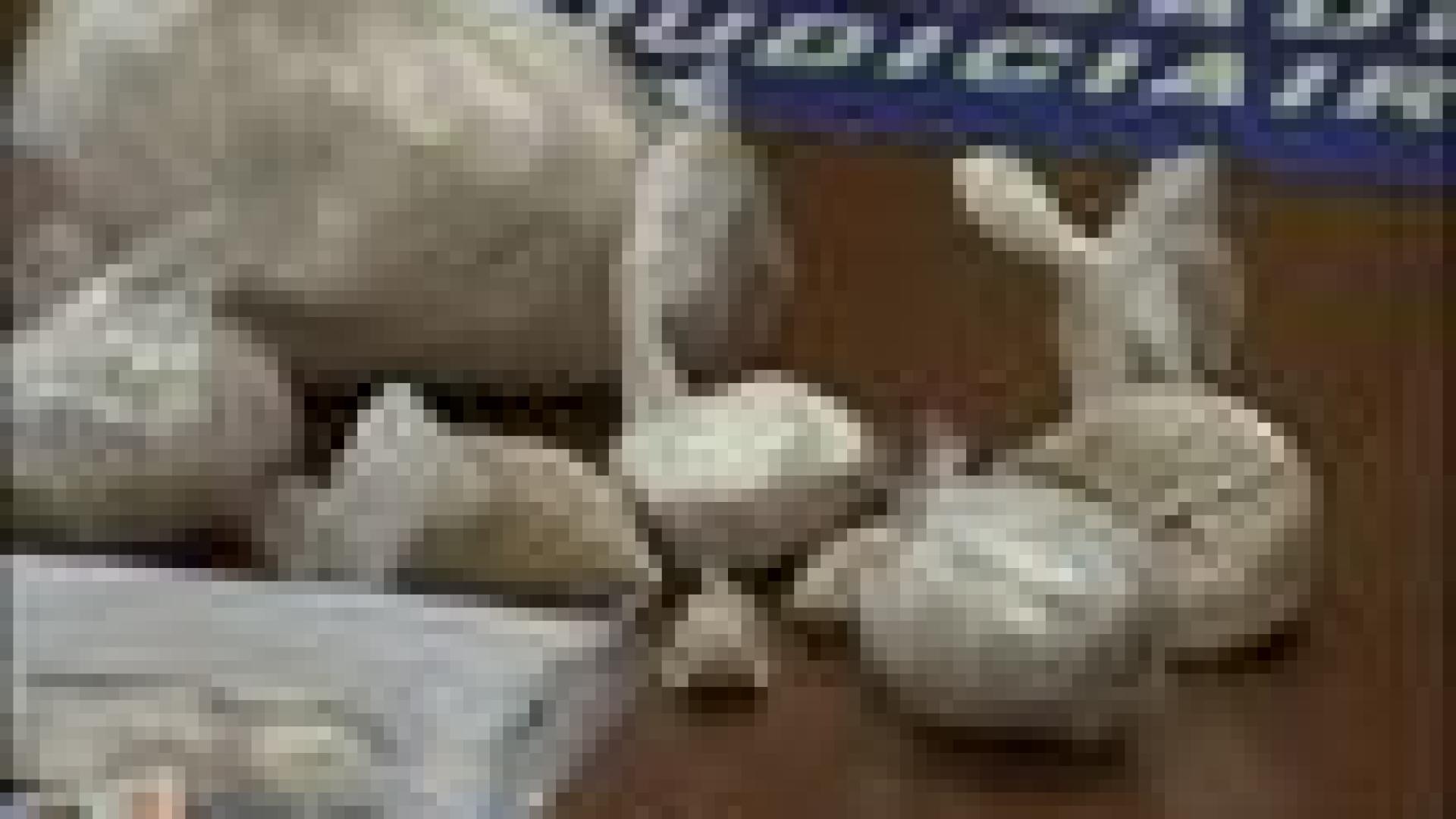 Drogue : coup de filet à Liège